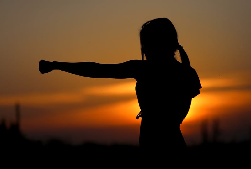 Tai Chi Fan Movements